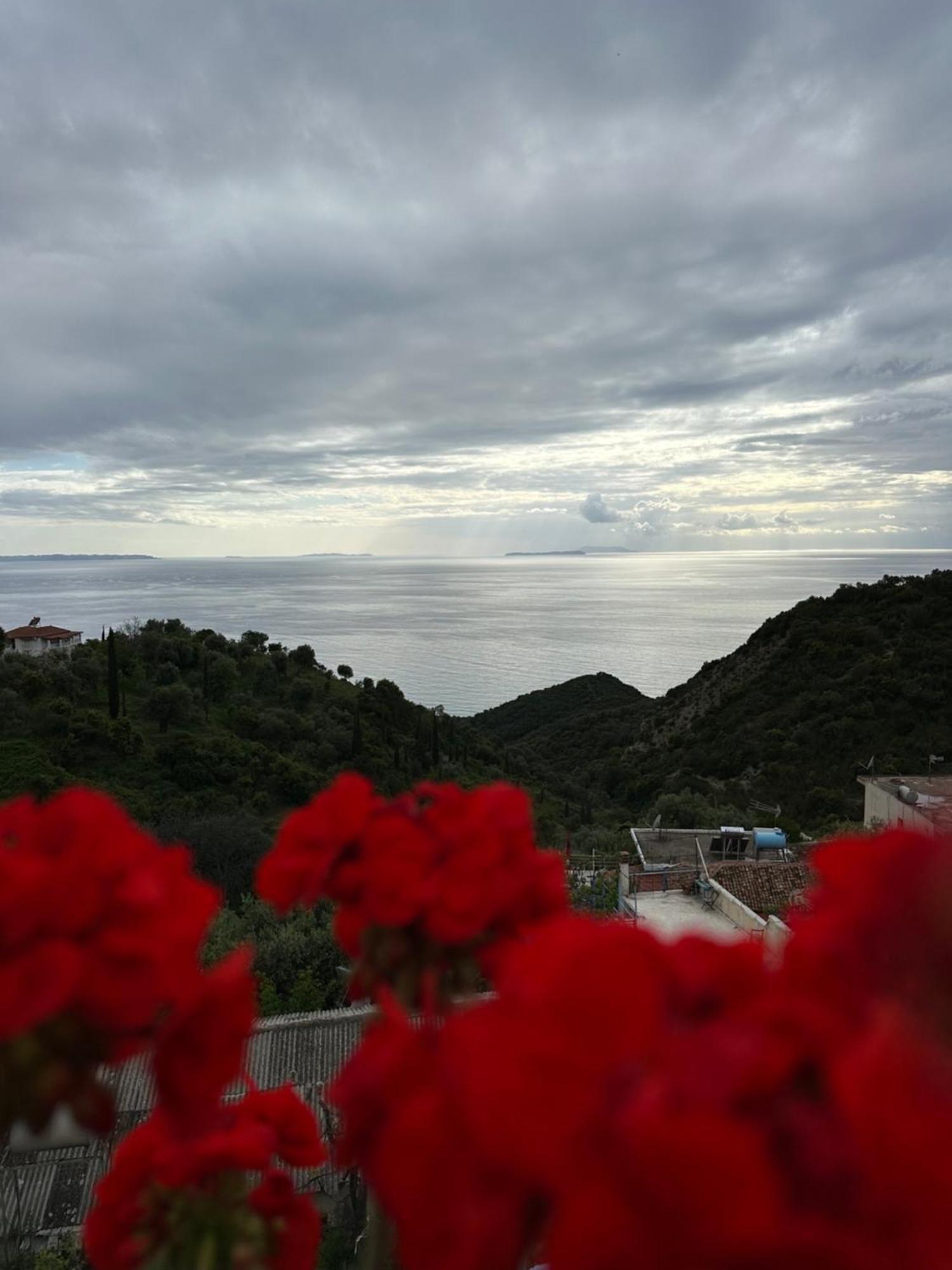 Selami Sea View Apartments Lukovë エクステリア 写真