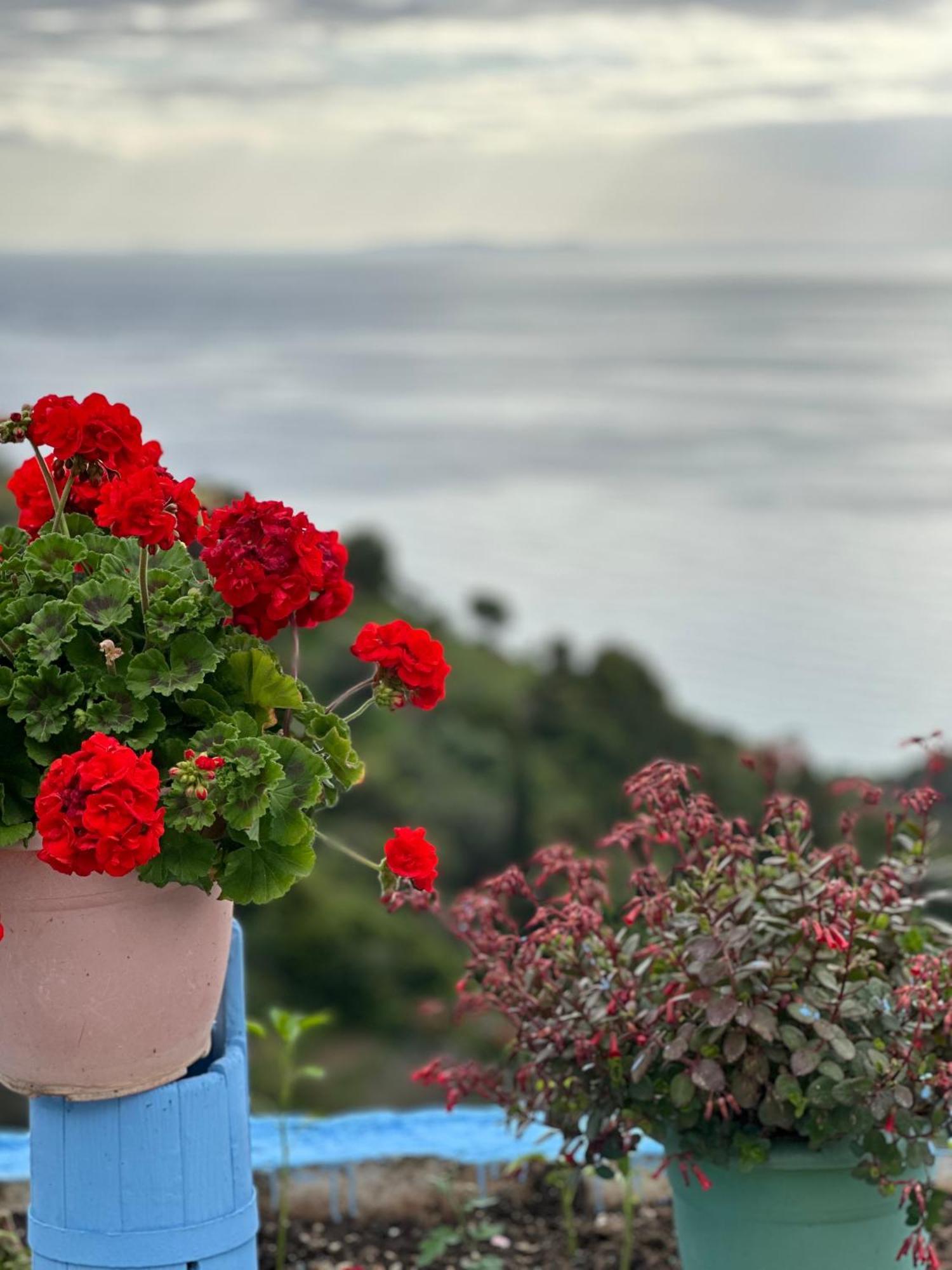 Selami Sea View Apartments Lukovë エクステリア 写真